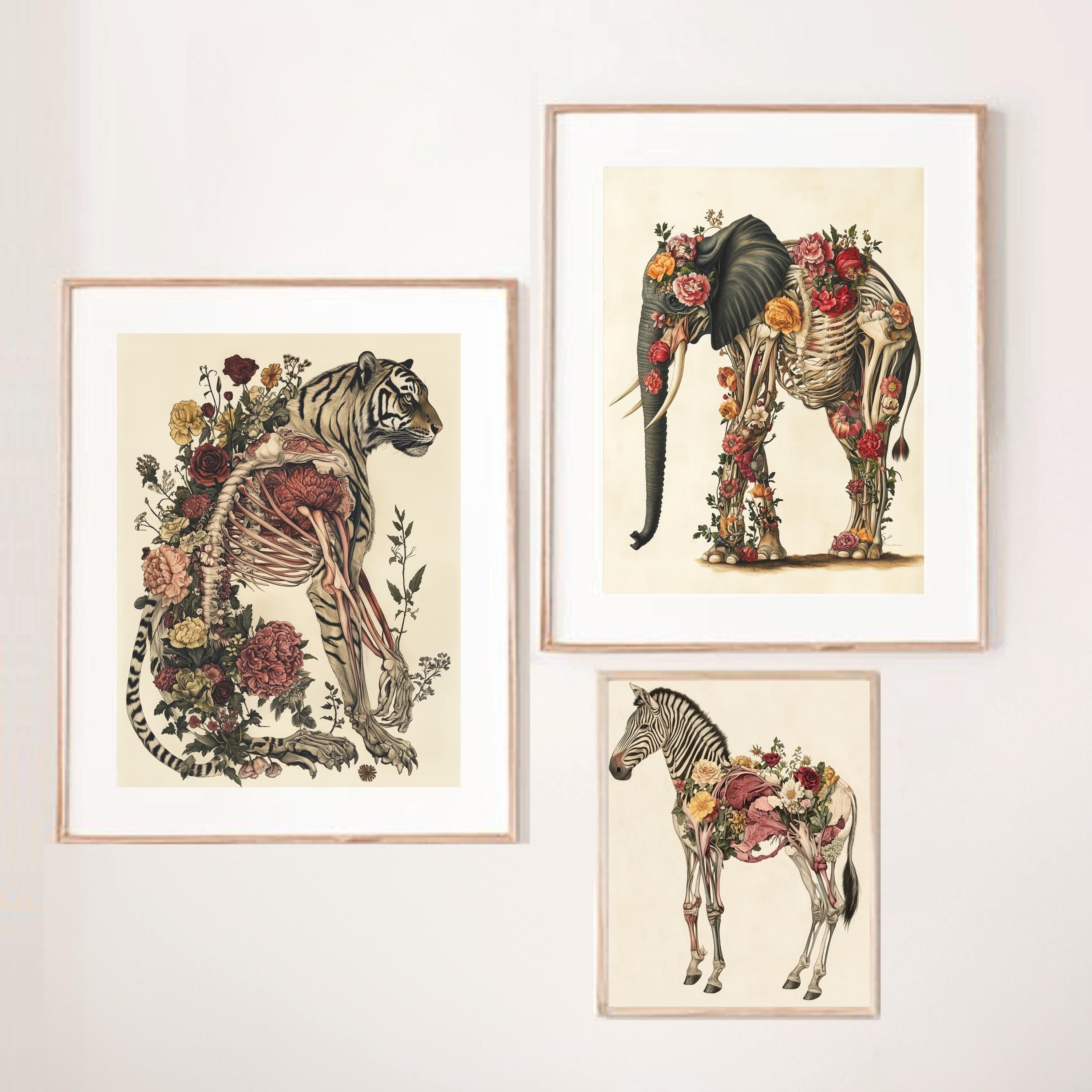 Whimsical Animal Anatomy Prints – Tiger Elephant Zebra Wall Prints, Unique Animal Prints, Eclectic Animal Wall Decor, Maximalist Wall Art