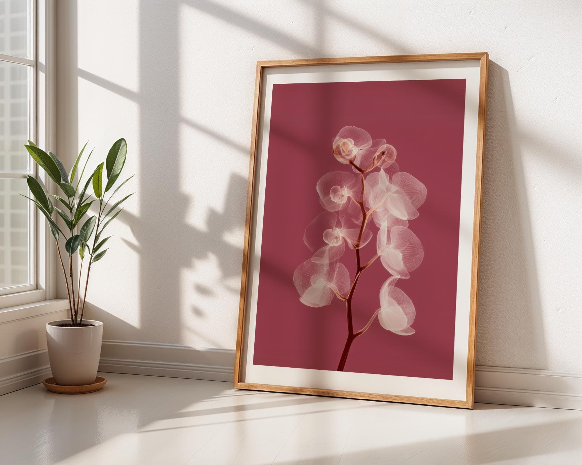 X Ray Orchid Flower Wall Art Botanical Radiograph Pink Orchid Print Minimal Elegant Decor, Modern Botanical Poster, White Floral Wall Decor - view 5
